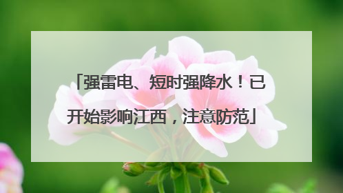 强雷电、短时强降水！已开始影响江西，注意防范
