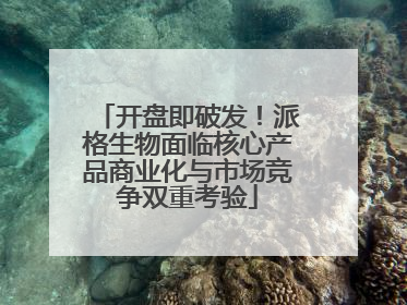 开盘即破发！派格生物面临核心产品商业化与市场竞争双重考验