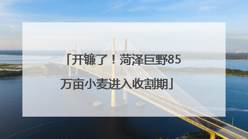 开镰了！菏泽巨野85万亩小麦进入收割期