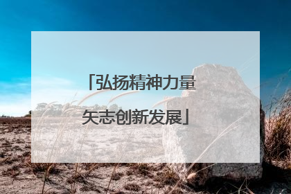 弘扬精神力量 矢志创新发展