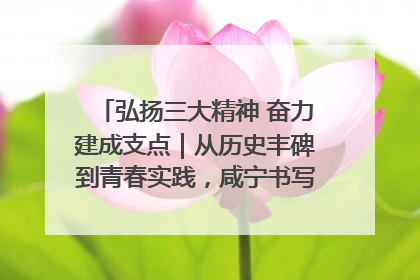 弘扬三大精神 奋力建成支点｜从历史丰碑到青春实践，咸宁书写精神传承新篇章
