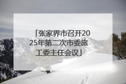张家界市召开2025年第二次市委旅工委主任会议