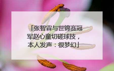 张智霖与世锦赛冠军赵心童切磋球技，本人发声：很梦幻
