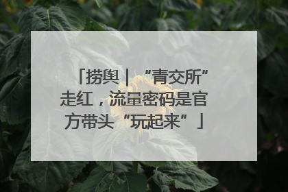 捞舆｜“青交所”走红，流量密码是官方带头“玩起来”