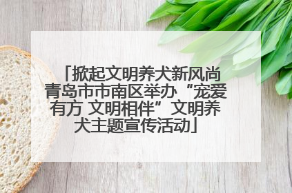 掀起文明养犬新风尚 青岛市市南区举办“宠爱有方 文明相伴”文明养犬主题宣传活动