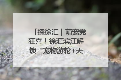 探徐汇｜萌宠党狂喜！徐汇滨江解锁“宠物游轮+天台乐园”双玩法