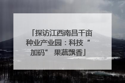 探访江西南昌千亩种业产业园：科技“加码” 果蔬飘香
