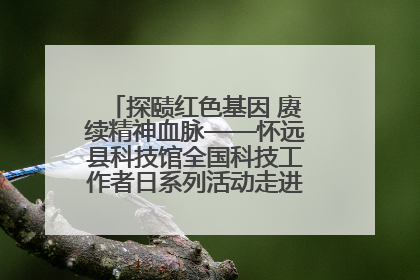 探赜红色基因 赓续精神血脉——怀远县科技馆全国科技工作者日系列活动走进怀远县实验中学