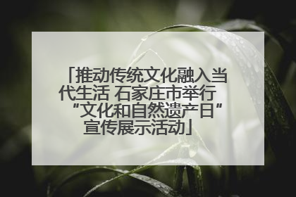 推动传统文化融入当代生活 石家庄市举行“文化和自然遗产日”宣传展示活动