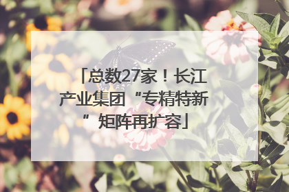 总数27家！长江产业集团“专精特新”矩阵再扩容