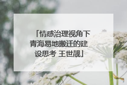 情感治理视角下青海易地搬迁的建设思考 王世靓