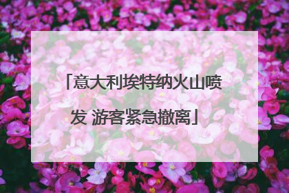 意大利埃特纳火山喷发 游客紧急撤离