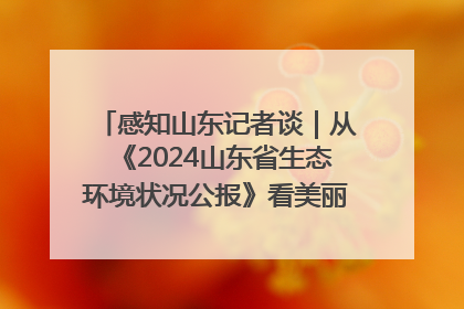 感知山东记者谈｜从《2024山东省生态环境状况公报》看美丽山东建设的“成绩单”与“任务书”