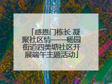 感恩门栋长 凝聚社区情——杨园街道四美塘社区开展端午主题活动