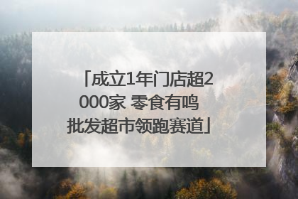 成立1年门店超2000家 零食有鸣批发超市领跑赛道