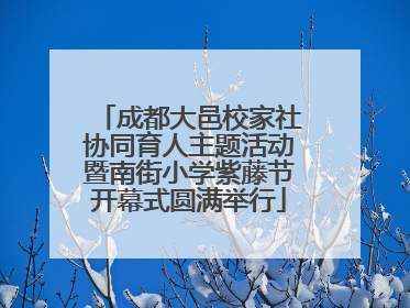 成都大邑校家社协同育人主题活动暨南街小学紫藤节开幕式圆满举行