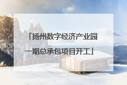 扬州数字经济产业园一期总承包项目开工