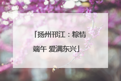 扬州邗江：粽情端午 爱满东兴