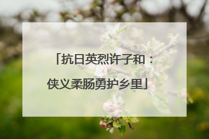 抗日英烈许子和：侠义柔肠勇护乡里