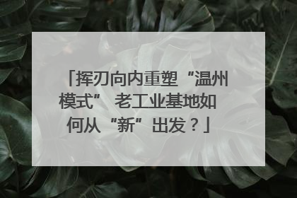 挥刃向内重塑“温州模式” 老工业基地如何从“新”出发？