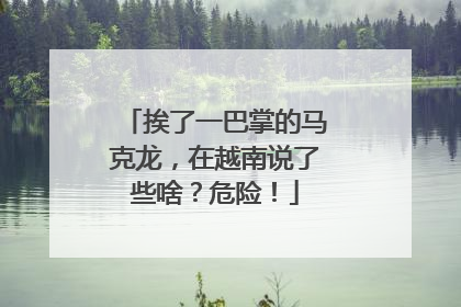 挨了一巴掌的马克龙，在越南说了些啥？危险！