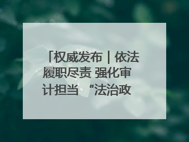 权威发布｜依法履职尽责 强化审计担当 “法治政府建设”主题系列新闻发布会市审计局专场召开