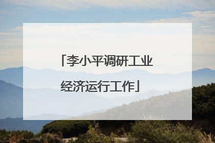 李小平调研工业经济运行工作