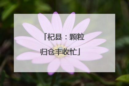 杞县：颗粒归仓丰收忙