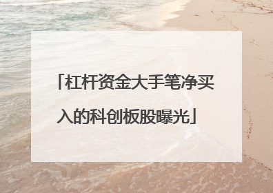 杠杆资金大手笔净买入的科创板股曝光