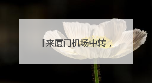来厦门机场中转，这份攻略请收好