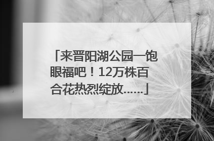 来晋阳湖公园一饱眼福吧！12万株百合花热烈绽放……