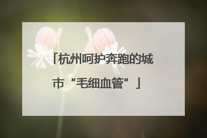 杭州呵护奔跑的城市“毛细血管”