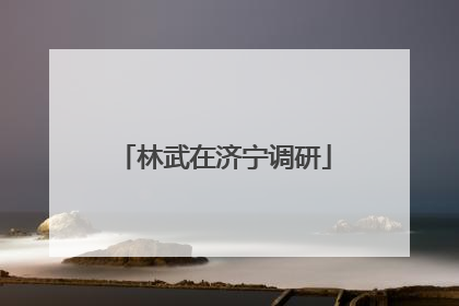 林武在济宁调研