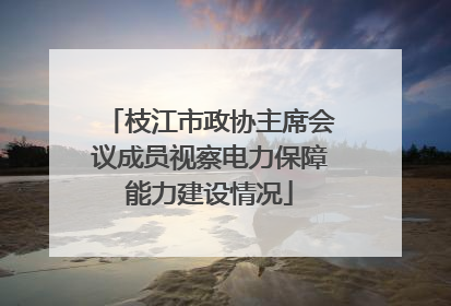 枝江市政协主席会议成员视察电力保障能力建设情况