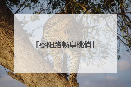 枣阳路畅皇桃俏