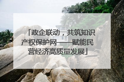 政企联动，共筑知识产权保护网——赋能民营经济高质量发展