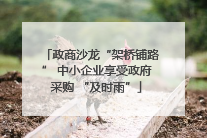 政商沙龙“架桥铺路” 中小企业享受政府采购 “及时雨”