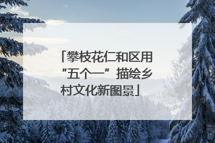 攀枝花仁和区用“五个一”描绘乡村文化新图景