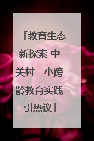 教育生态新探索 中关村三小跨龄教育实践引热议