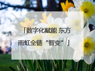 数字化赋能 东方雨虹全链“智变”