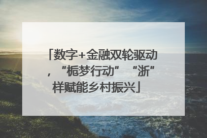 数字+金融双轮驱动，“栀梦行动”“浙”样赋能乡村振兴