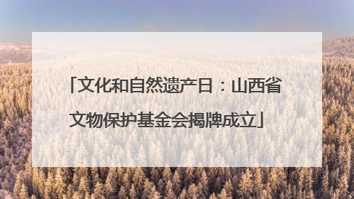 文化和自然遗产日：山西省文物保护基金会揭牌成立