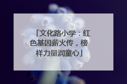 文化路小学：红色基因薪火传，榜样力量润童心