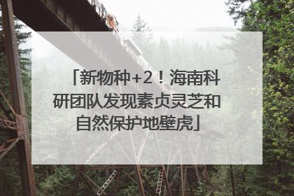 新物种+2！海南科研团队发现素贞灵芝和自然保护地壁虎