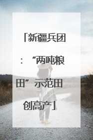 新疆兵团：“两吨粮田”示范田创高产