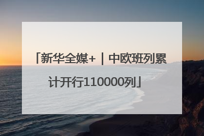 新华全媒+｜中欧班列累计开行110000列
