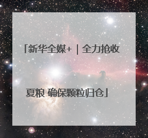 新华全媒+｜全力抢收夏粮 确保颗粒归仓