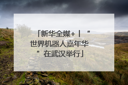 新华全媒+丨“世界机器人嘉年华”在武汉举行