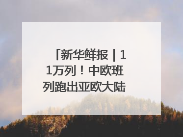 新华鲜报｜11万列！中欧班列跑出亚欧大陆“新时速”