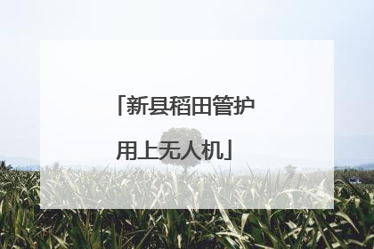 新县稻田管护用上无人机